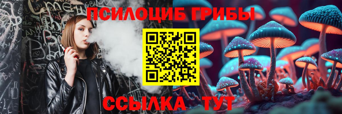 Туапсе  Галлюциногенные грибы Psilocybine cubensis  Галлюциногенные грибы Psilocybe  Вход с VPN 
