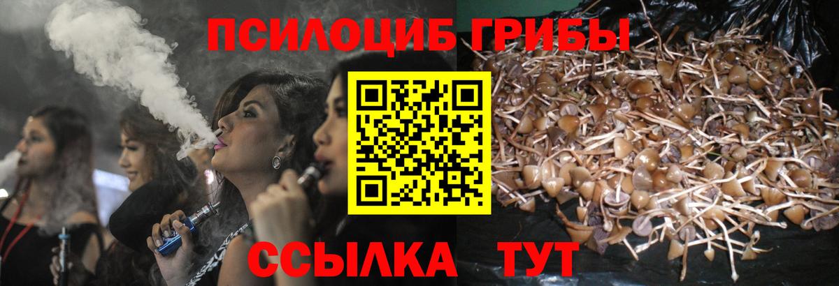 Галлюциногенные грибы Psilocybine cubensis Туапсе